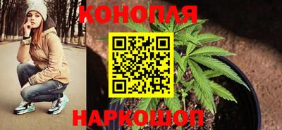 МДПВ Обь