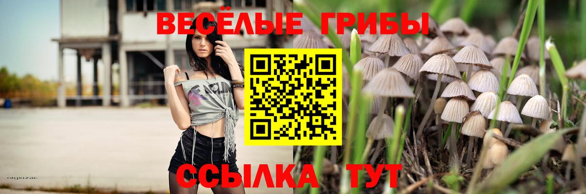 купить наркотики сайты  Вход с VPN  Первоуральск  Галлюциногенные грибы Psilocybine cubensis 